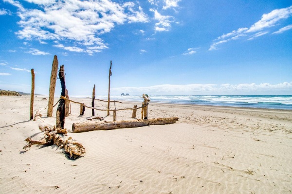 Boardwalk Main image