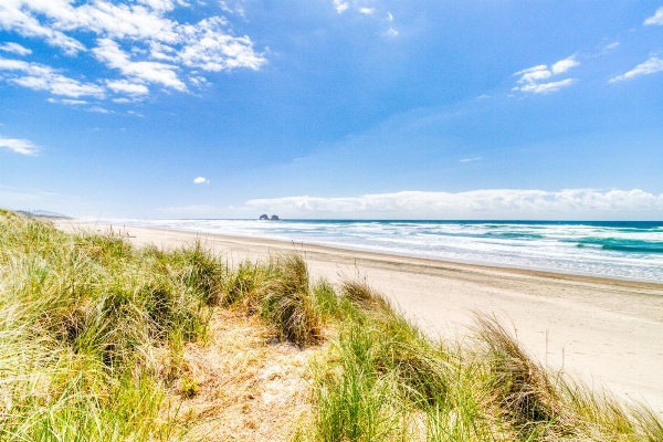 Boardwalk Main image